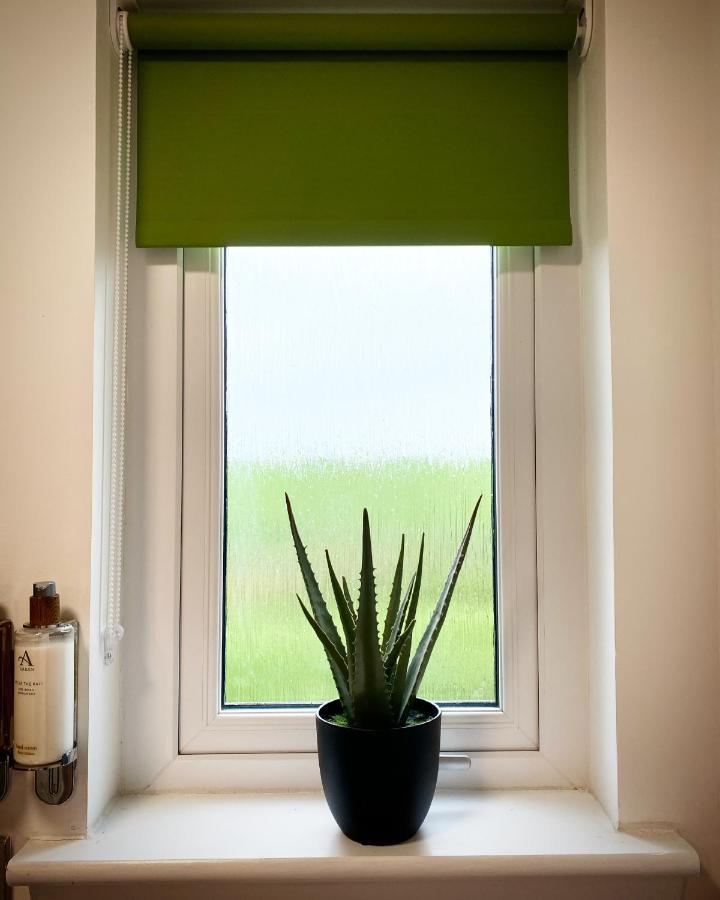 Apartment Druid House *
