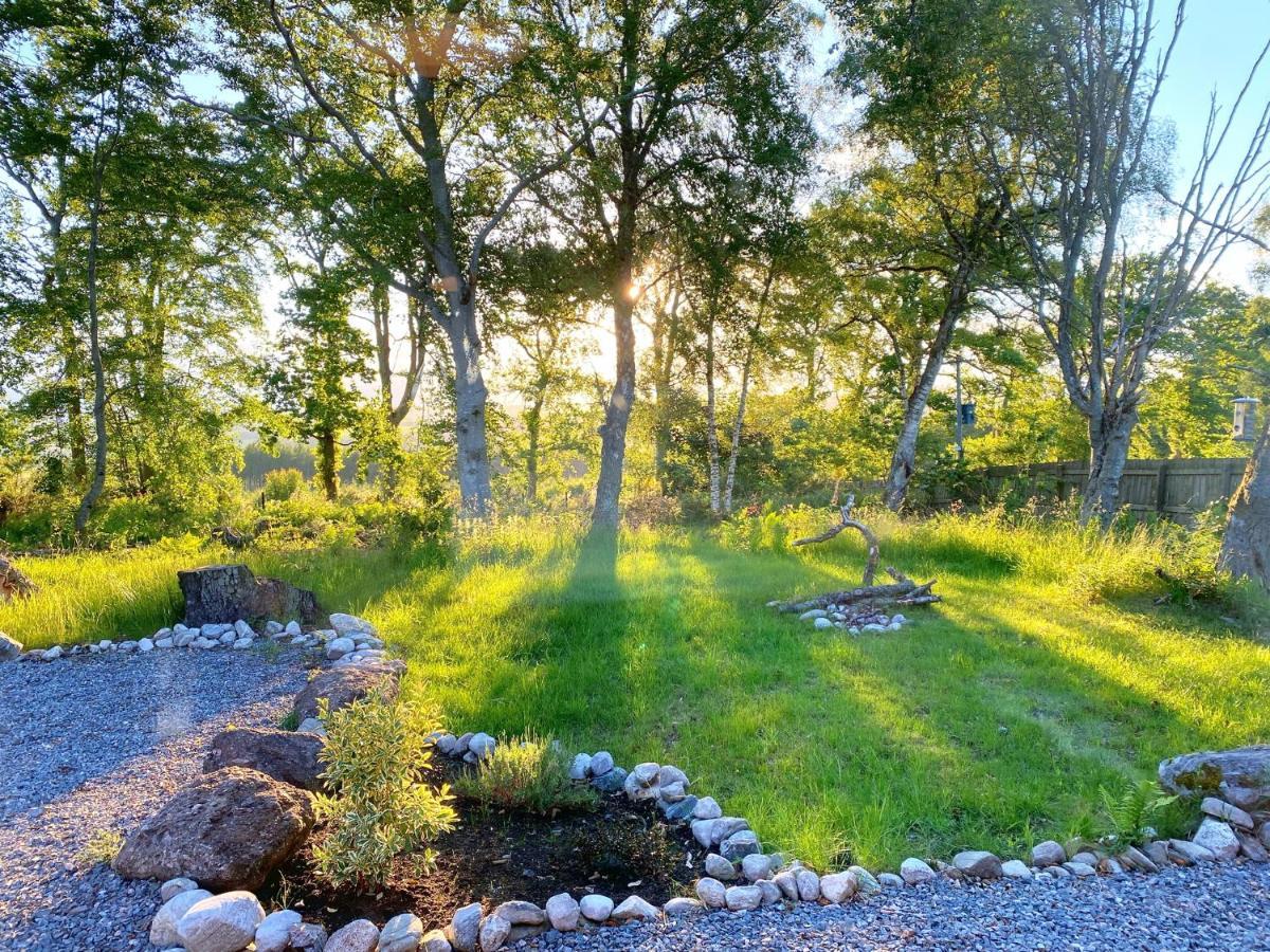 Druid House Апартаменты